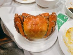 -新光酒家方亮蟹宴(黄浦店)
