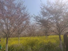 -古柏渡飞黄旅游区