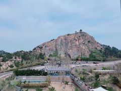 -西霞口神雕山野生动物世界