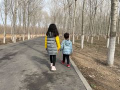 -东郊湿地公园