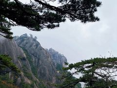 -黄山风景区