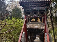 -晋祠公园