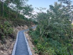 -火炉山森林公园