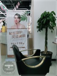 点击看大图 -世田造型