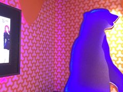 -米乐星世界KTV