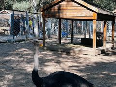 -长白岛森林公园