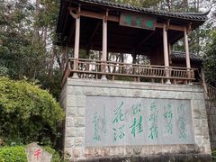 -千岛湖东南湖区
