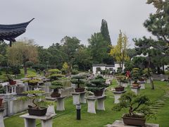 -泰州凤城河风景区-泰山公园