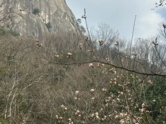 -罗田天堂寨风景区