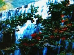 -沕沕水生态风景区