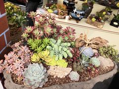 -重庆市江北嘴中央商务区中央公园