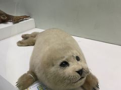 -国家自然博物馆