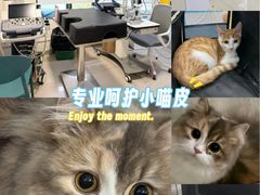-守诺宠物医院·眼科· 神经外科·爬宠专科(虹口店)