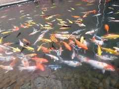-芙蓉餐厅(厦大店)