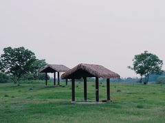-良渚古城遗址公园