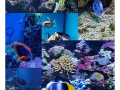 -大连老虎滩海洋公园