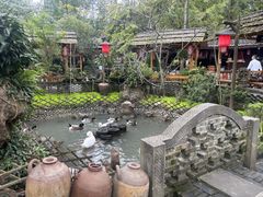 -青城甲(青城山店)