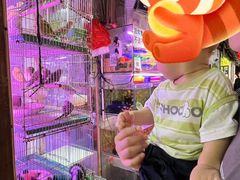 -大学城夜市大排档(凤栖路店)