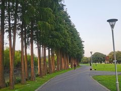 -上海月湖雕塑公园
