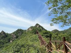 -大岭沟猕猴桃谷风景区