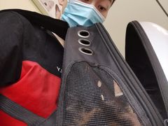 -美迦爱-牙专科·兔科·骨科诊疗中心(北苑店)