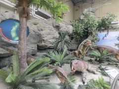 -国家自然博物馆