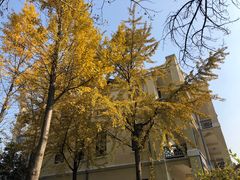 -南京中国近代史遗址博物馆(南京总统府)