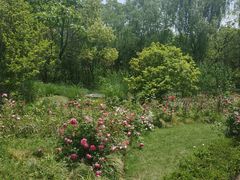 -昆山城市生态森林公园