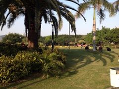 白鹭洲公园-白鹭洲公园