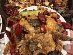 -老板恋上鱼(恒隆广场店)