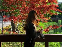 -新江湾城公园