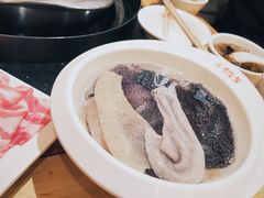 鲜毛肚-锅首鲜品火锅(鸳鸯店)