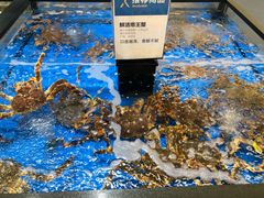 -盒马X会员店(王府井奥莱UP TOWN店)