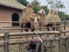 -祥源·阜阳生态乐园