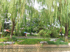 菖蒲河1-菖蒲河公园