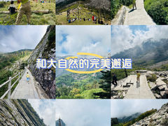-朱雀国家森林公园