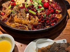 -老板恋上鱼(高新万达店)