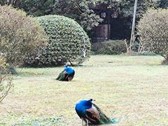 -天赐温泉