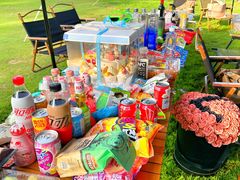 -TIPPI营地 房车主题·露营烧烤团建轰趴(天安假日店)