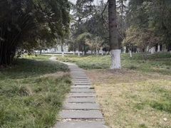 -中央公园(苏州工业园区)
