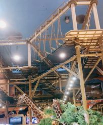 -卡通尼·Safari非洲探索乐园·生日会(金桥国际商业广场店)