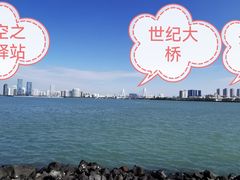 -万绿园