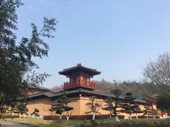 -习家池