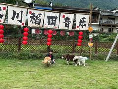 -塔川景区