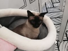 -白夜2D咖啡馆