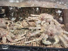 -海鲜e族(马王堆店)