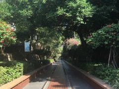 -铁路文化公园