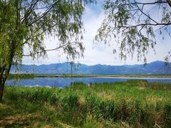 -野鸭湖国家湿地公园