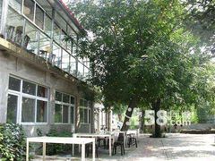 院子-十三陵山水雅园农家院