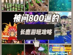 -长鹿旅游休博园